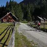 公寓 Chaletdorf-fanningberg Weisspriach