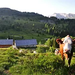 Chaletdorf-fanningberg 公寓