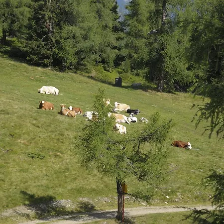 Chaletdorf-fanningberg Weisspriach