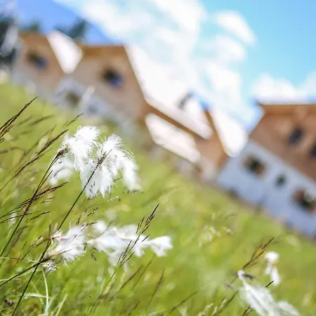 Lejlighed Chaletdorf-fanningberg Weisspriach