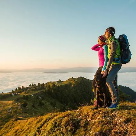 Chaletdorf-fanningberg Weisspriach