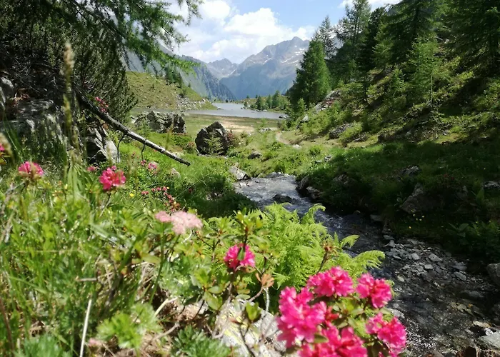 Chaletdorf-fanningberg *
